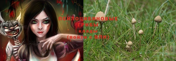 мяу мяу мука Балахна